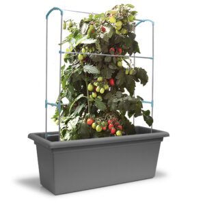 Magnus Self-watering Mobile Living Wall Kits